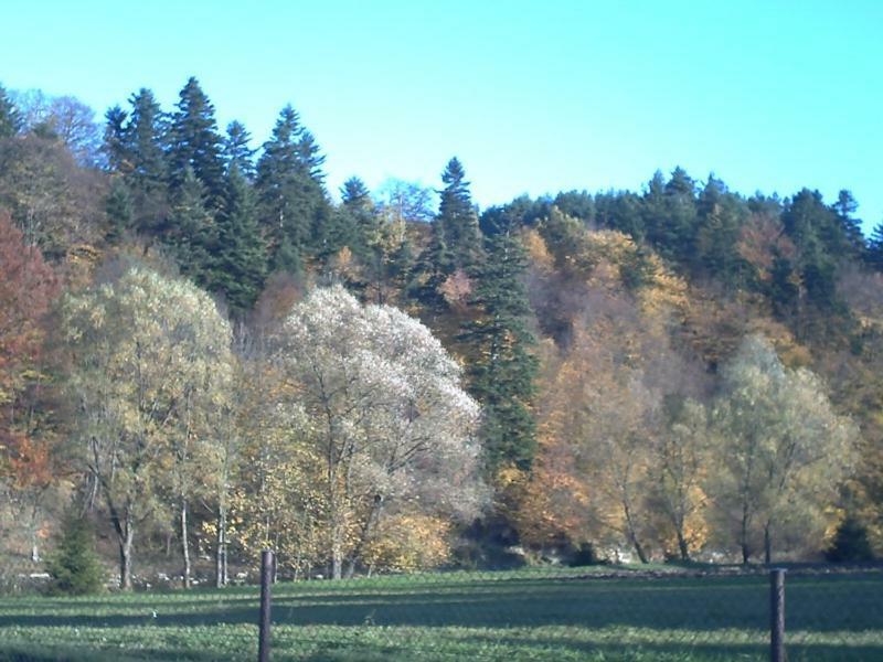 Pod Orzechem Villa Sanoki járás Kültér fotó